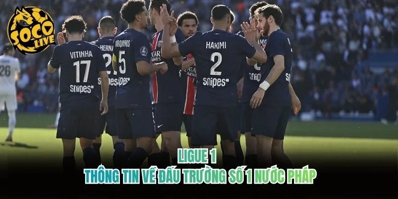 Ligue 1 – Thông Tin Về Đấu Trường Số 1 Nước Pháp 2026