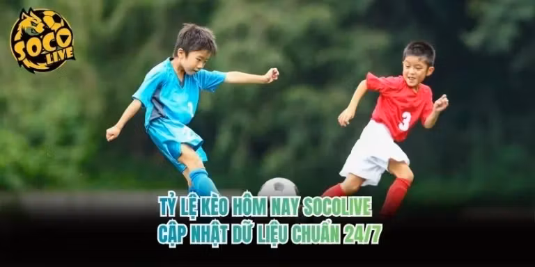 Tỷ Lệ Kèo Hôm Nay Socolive - Cập Nhật Dữ Liệu Chuẩn 24/7